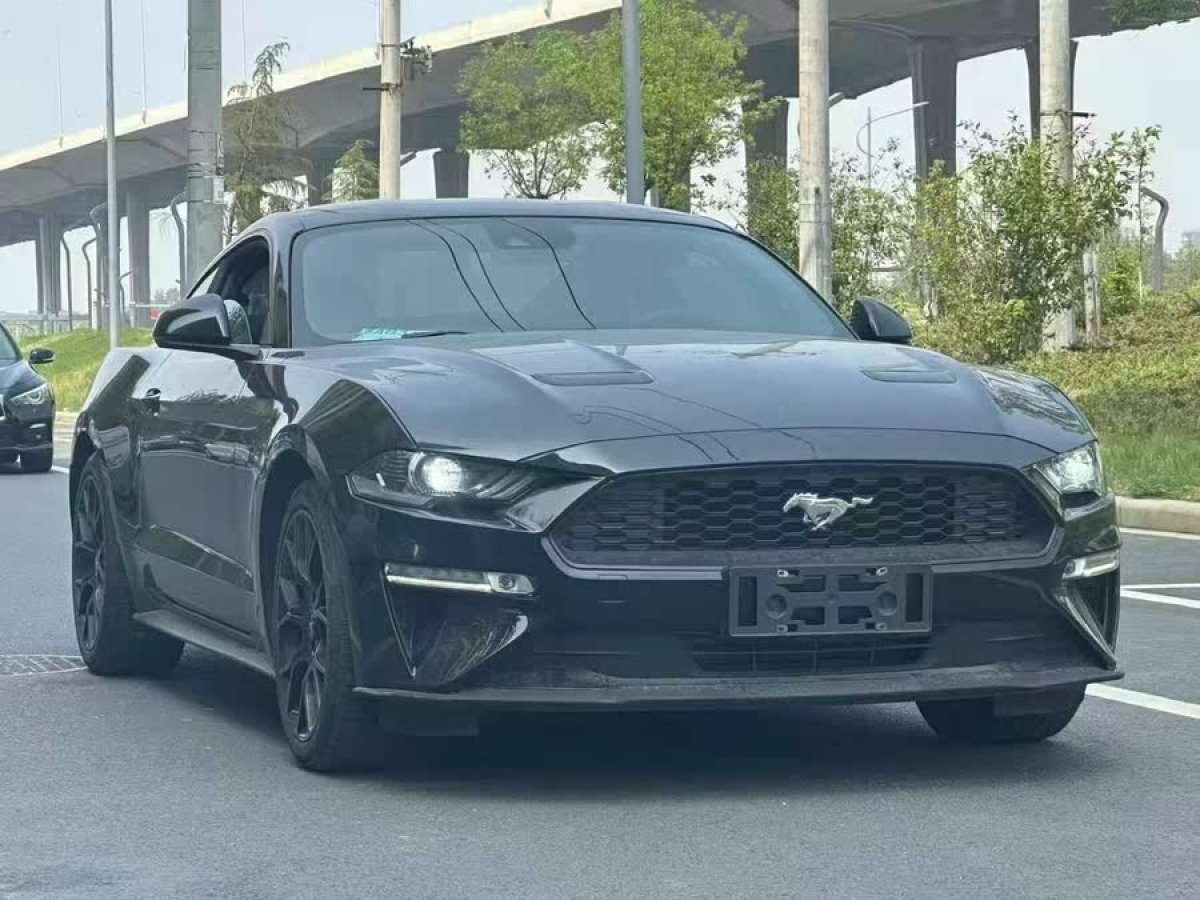 福特 Mustang  2019款 2.3L EcoBoost圖片