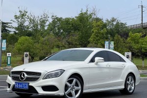 奔馳CLS級 奔馳 CLS 260逸彩版