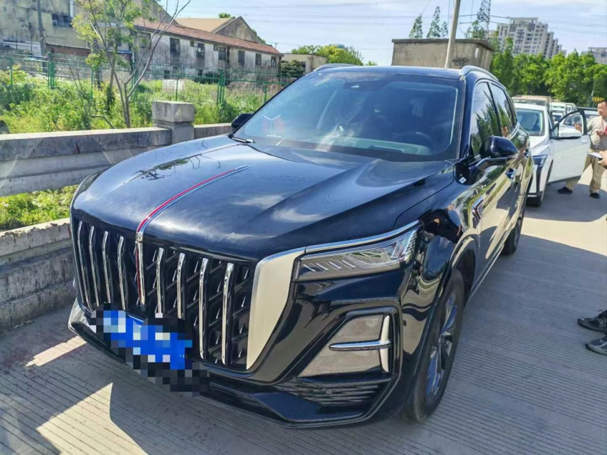 紅旗 紅旗國雅  2024款 3.0T V6版圖片