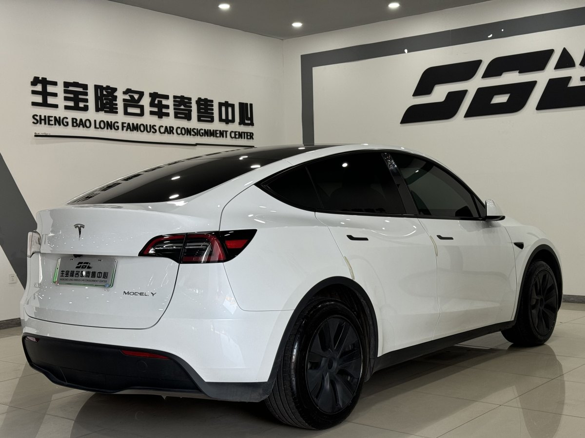 特斯拉 Model Y  2020款 改款 長(zhǎng)續(xù)航后輪驅(qū)動(dòng)版圖片