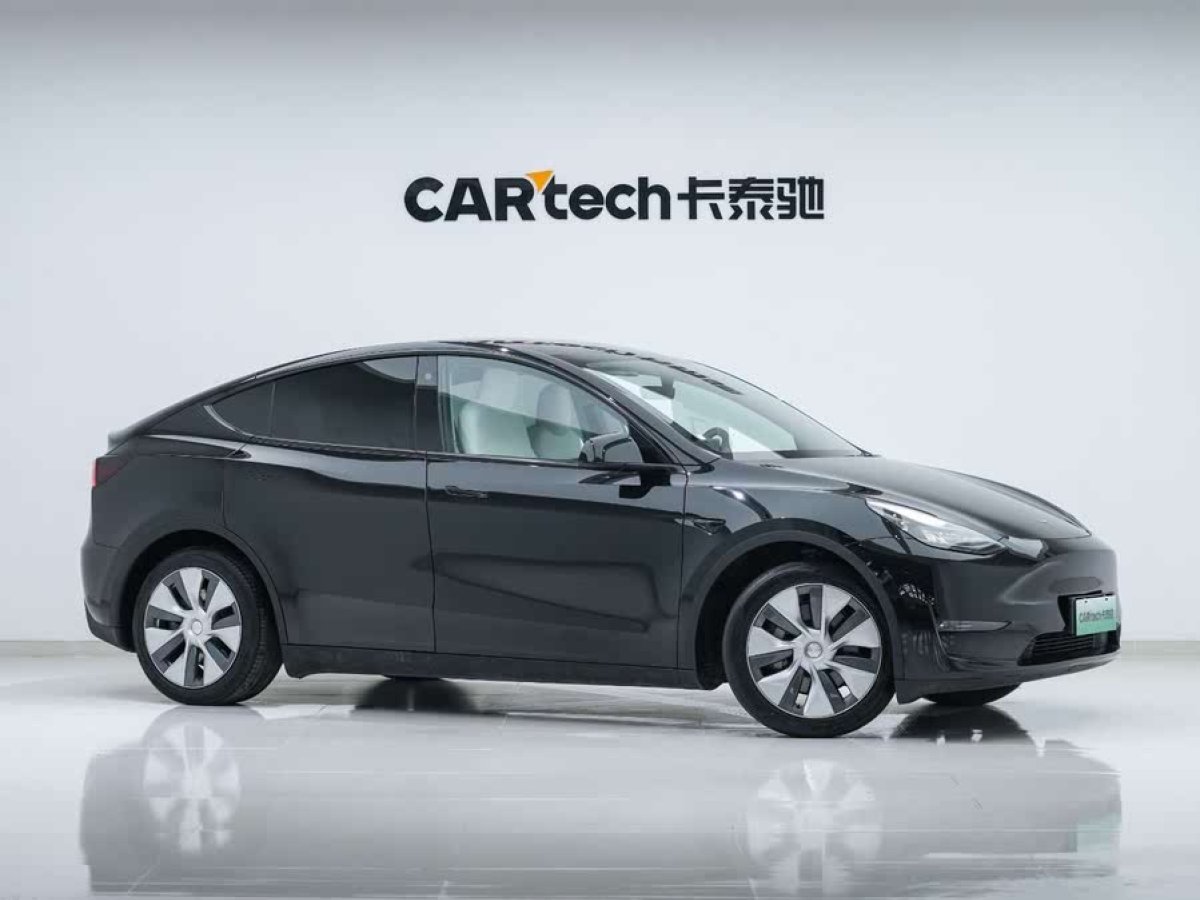 特斯拉 Model Y  2021款 標(biāo)準(zhǔn)續(xù)航后驅(qū)版圖片