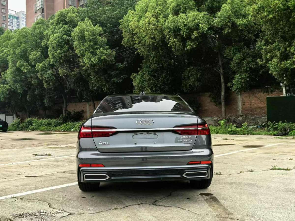 奧迪 奧迪A6L  2021款 45 TFSI 進(jìn)享人生版圖片