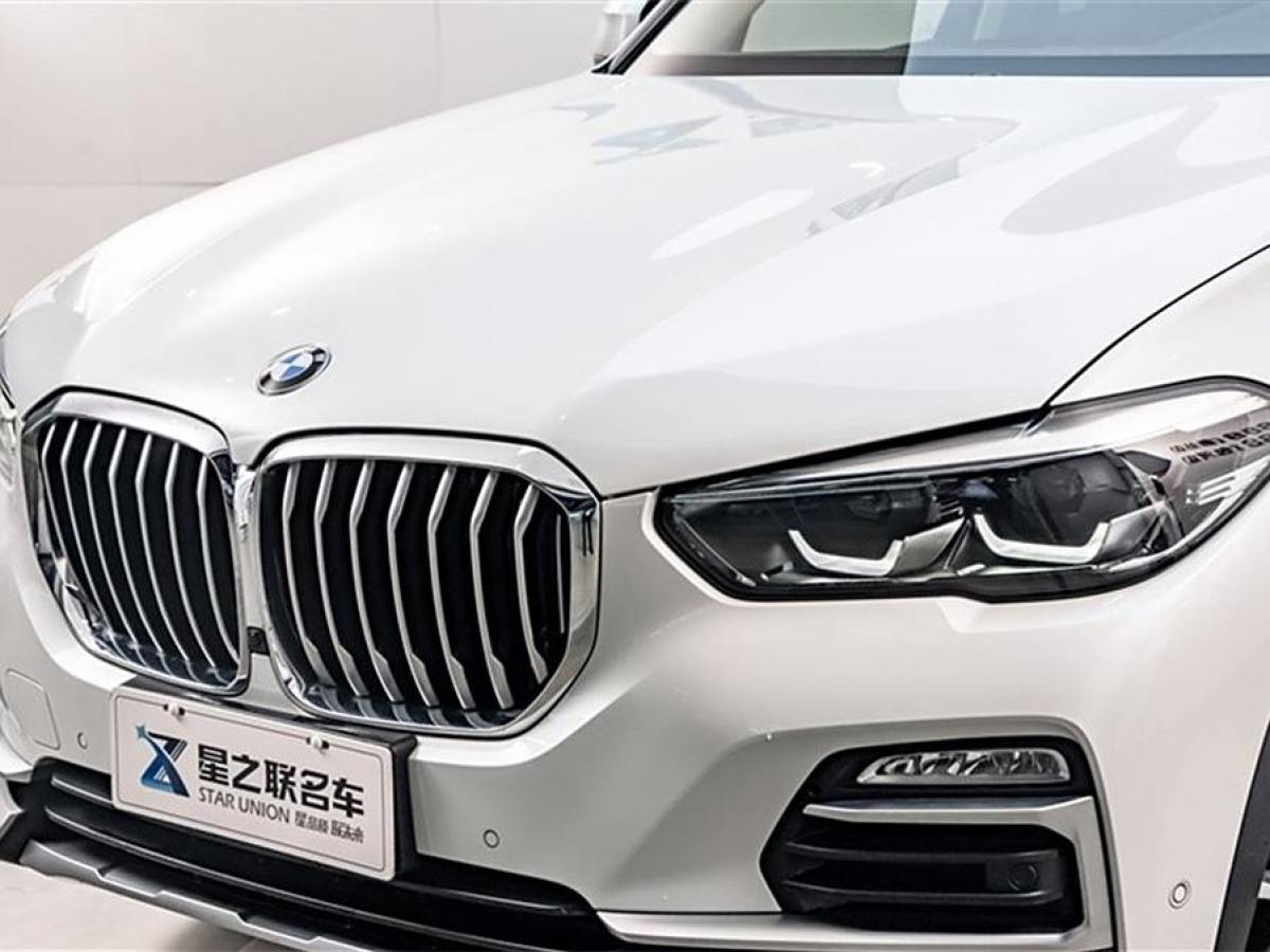 寶馬 寶馬X5  2019款 xDrive30i X設(shè)計(jì)套裝圖片