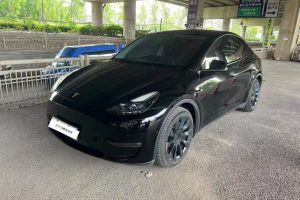 Model S 特斯拉 Performance 高性能版