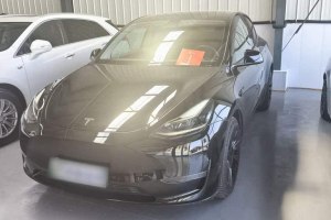 Model 3 特斯拉 標(biāo)準(zhǔn)續(xù)航后驅(qū)升級(jí)版 3D6