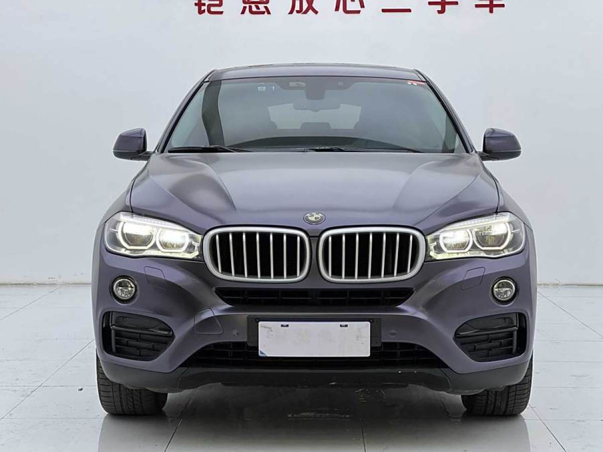 寶馬 寶馬X6  2017款 xDrive35i 領(lǐng)先型圖片