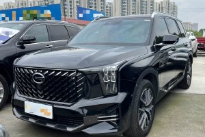 GS8 廣汽傳祺 領(lǐng)航系列 2.0TGDI 兩驅(qū)豪華智聯(lián)版（七座）