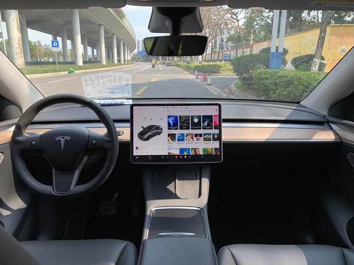 特斯拉 Model Y  2021款 改款 長(zhǎng)續(xù)航全輪驅(qū)動(dòng)版圖片