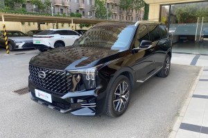 GS8 廣汽傳祺 領(lǐng)航系列 2.0TGDI 兩驅(qū)豪華智聯(lián)版（六座）