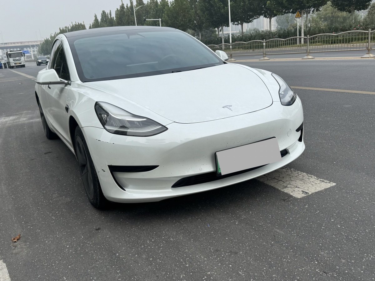 特斯拉 Model 3  2019款 標準續(xù)航后驅升級版圖片