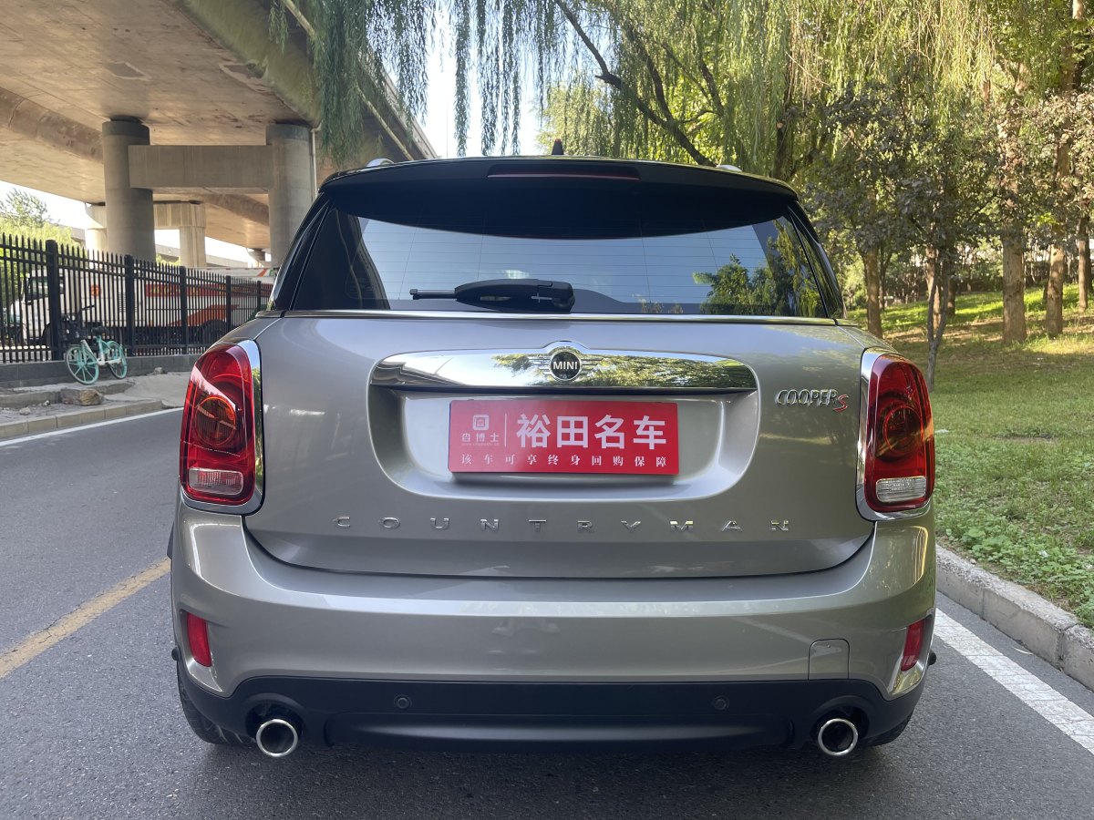 MINI COUNTRYMAN  2018款 2.0T COOPER S ALL4 藝術(shù)家圖片