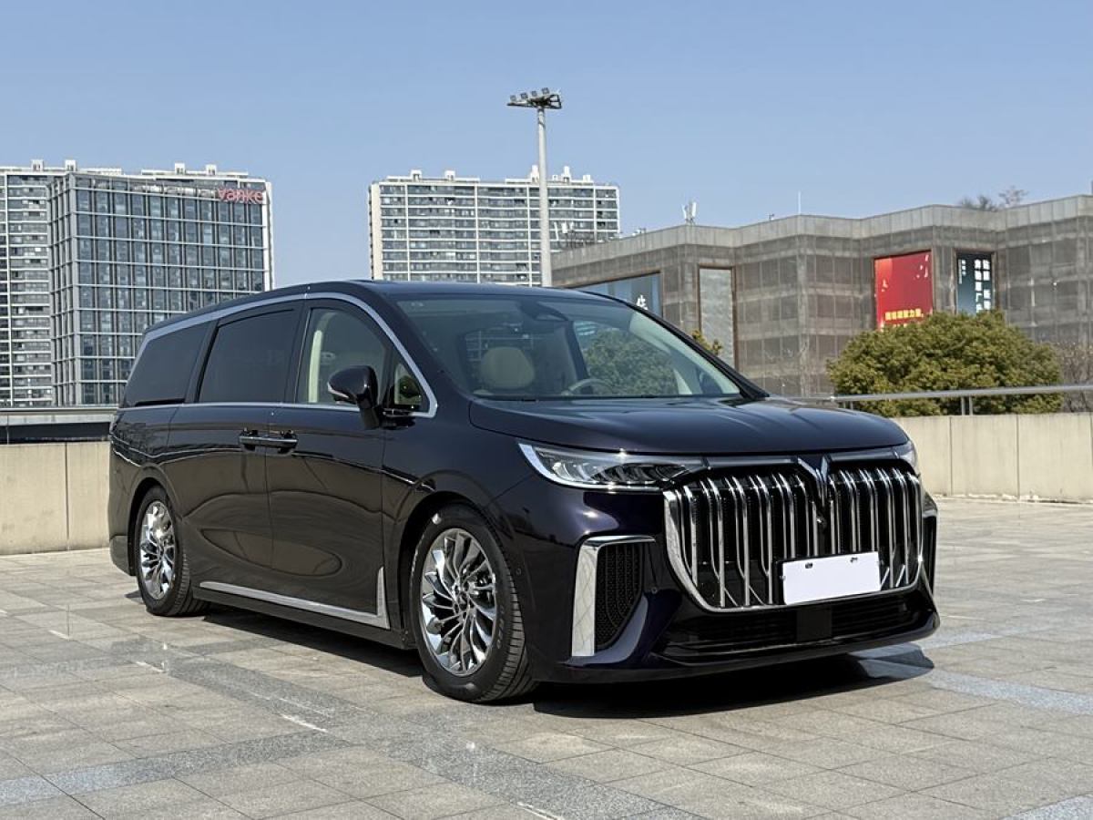 嵐圖 夢想家  2024款 PHEV 超長續(xù)航旗艦版圖片