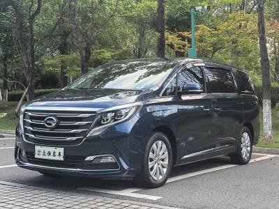 2019年6月 广汽传祺 M8 320T 尊享版图片