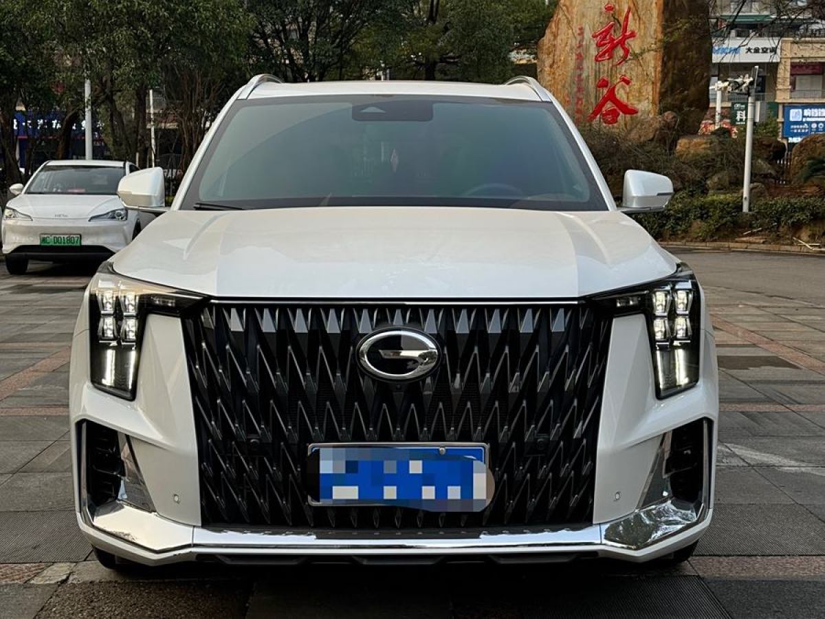 廣汽傳祺 GS8  2022款 領(lǐng)航系列 2.0TGDI 四驅(qū)至尊版（七座）圖片