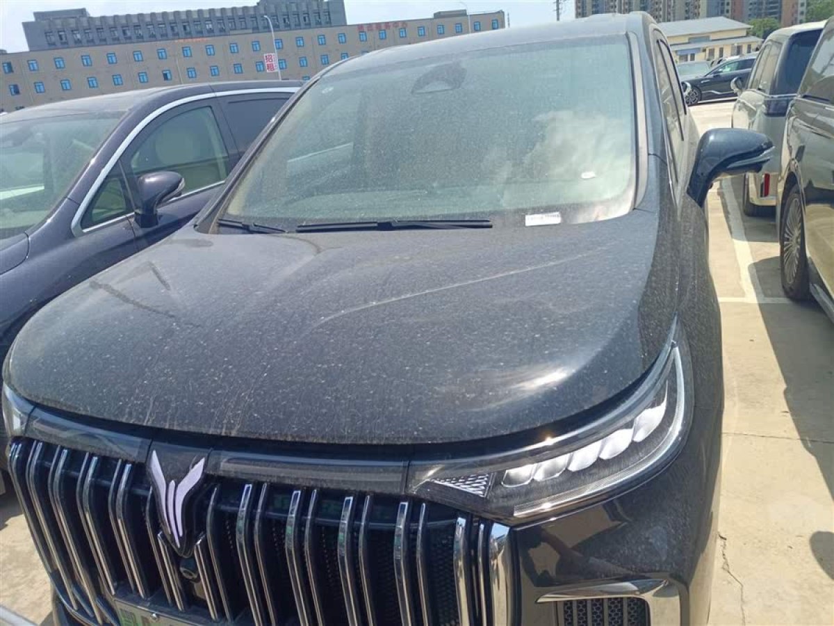 嵐圖 夢(mèng)想家  2024款 PHEV 超長(zhǎng)續(xù)航尊貴版圖片