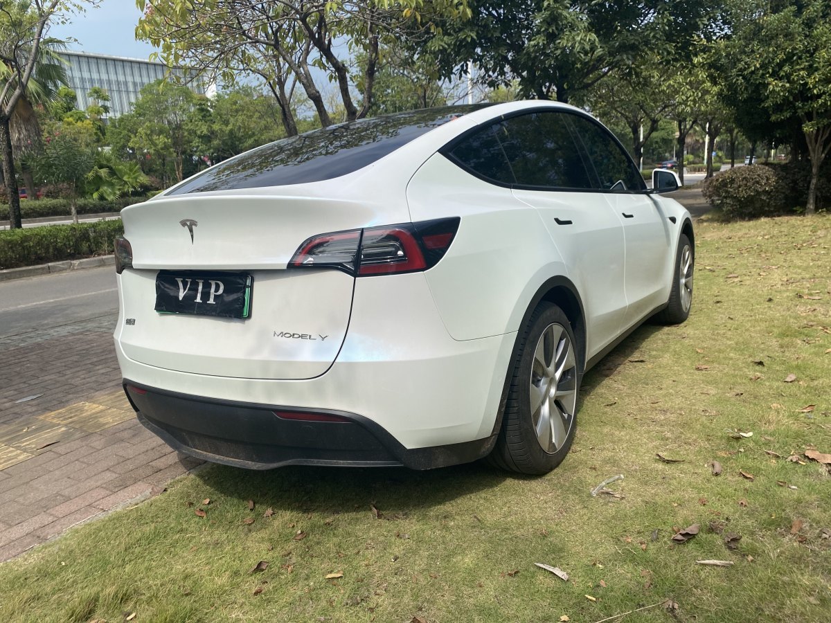 特斯拉 Model Y  2020款 改款 長(zhǎng)續(xù)航后輪驅(qū)動(dòng)版圖片