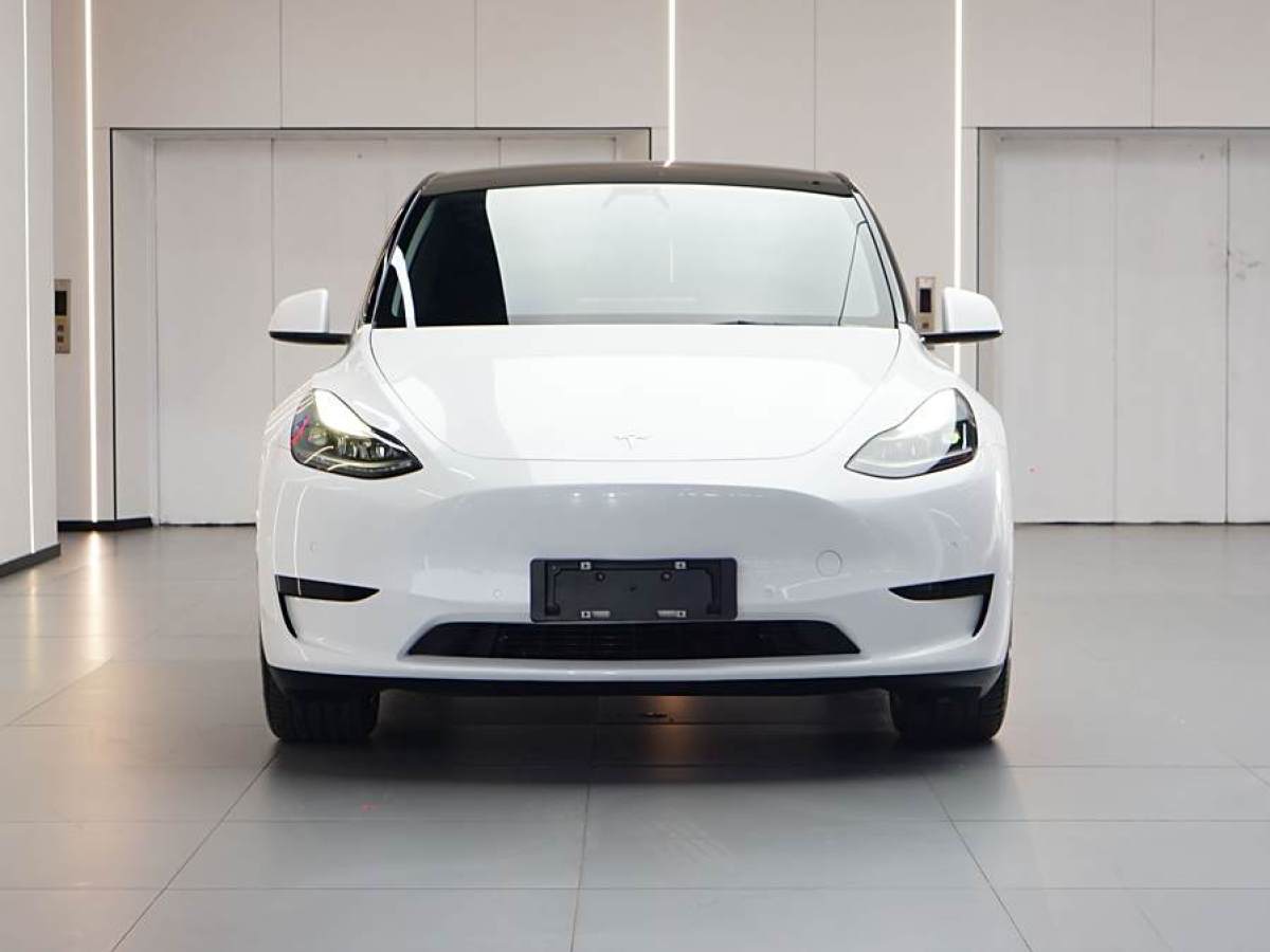 特斯拉 Model 3  2022款 后輪驅(qū)動版圖片