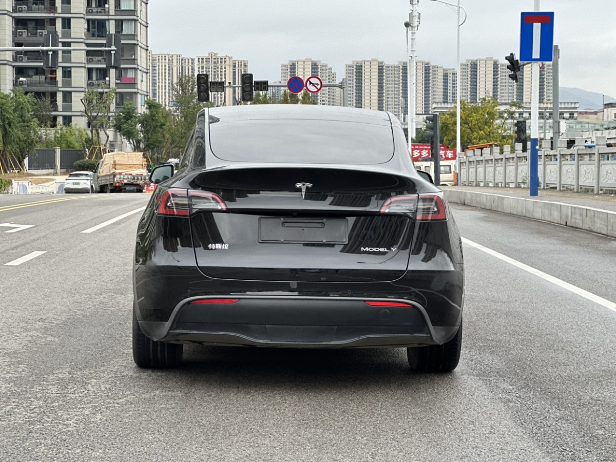 特斯拉 Model Y  2021款 標(biāo)準(zhǔn)續(xù)航后驅(qū)升級版 3D6圖片