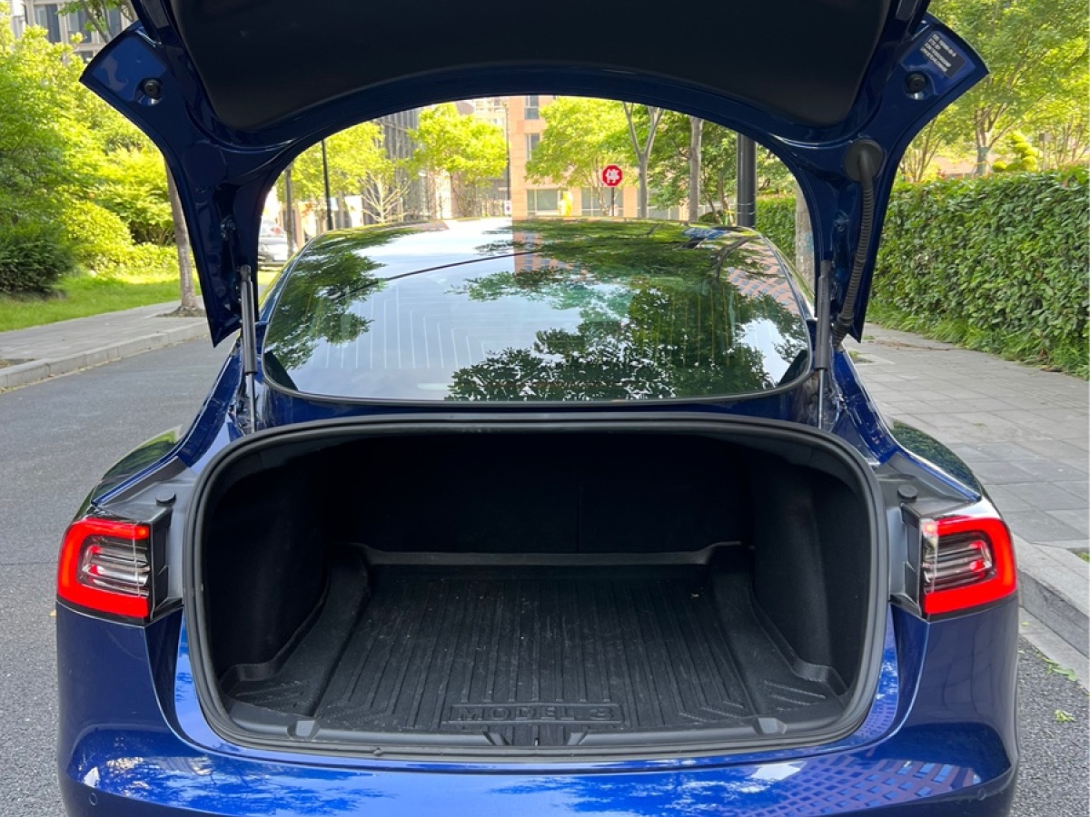 特斯拉 Model 3  2020款 標準續(xù)航后驅(qū)升級版圖片