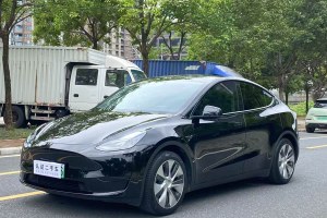 Model Y 特斯拉 改款 后輪驅(qū)動版
