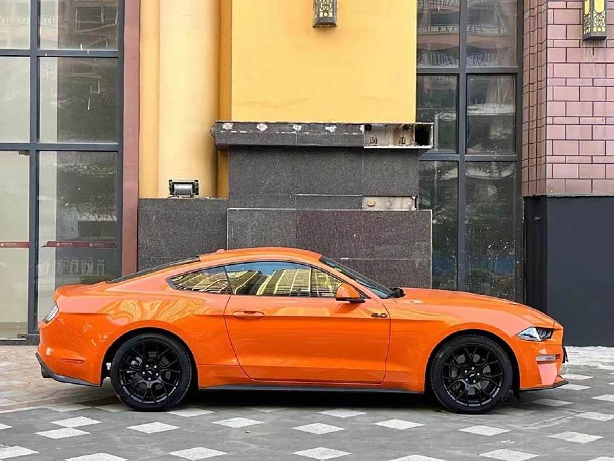 福特 Mustang  2015款 2.3T 性能版圖片