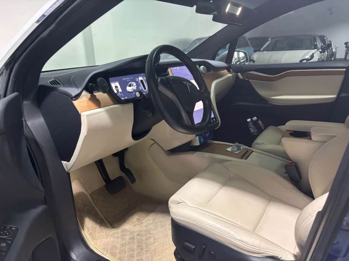 特斯拉 Model X  2019款 長續(xù)航版圖片