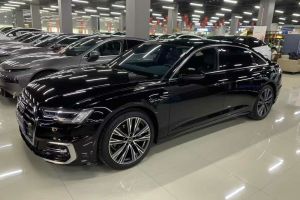 奥迪A6L 奥迪 40 TFSI 豪华动感型