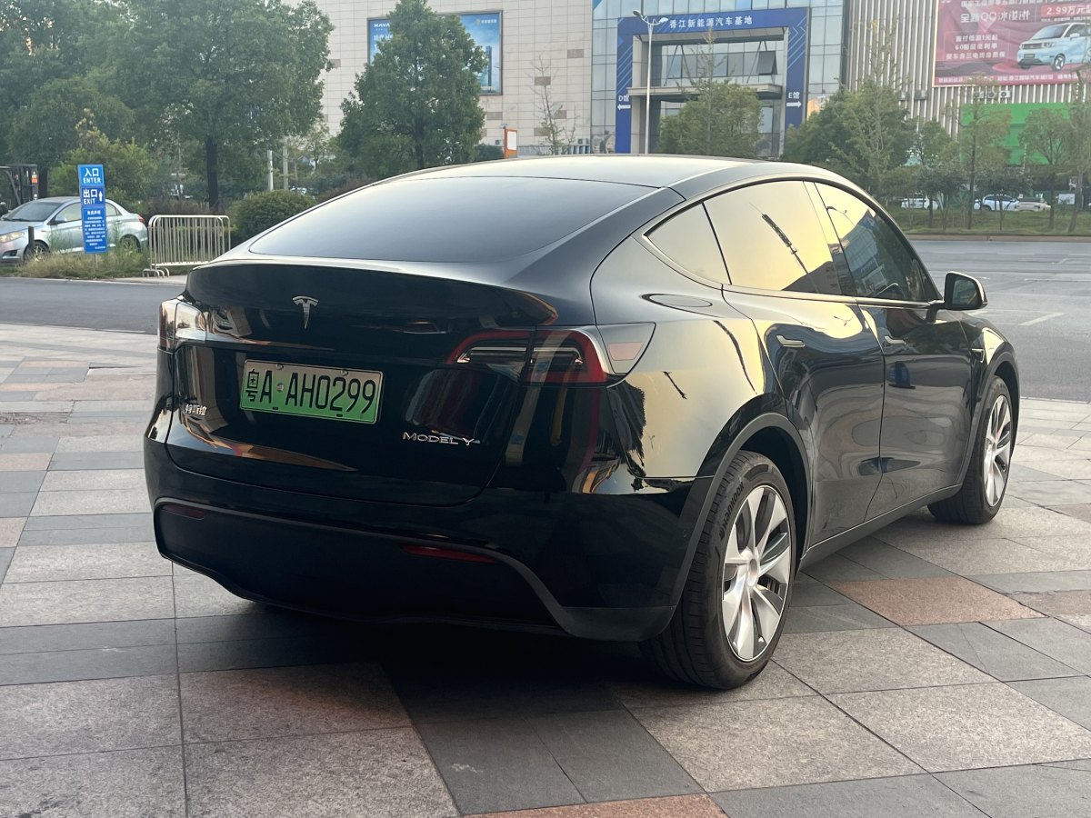 特斯拉 Model Y  2021款 改款 Performance高性能全輪驅(qū)動(dòng)版圖片