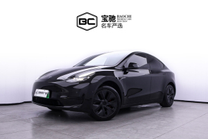 2024年1月 Model Y 特斯拉 2023款 后輪驅(qū)動(dòng)版