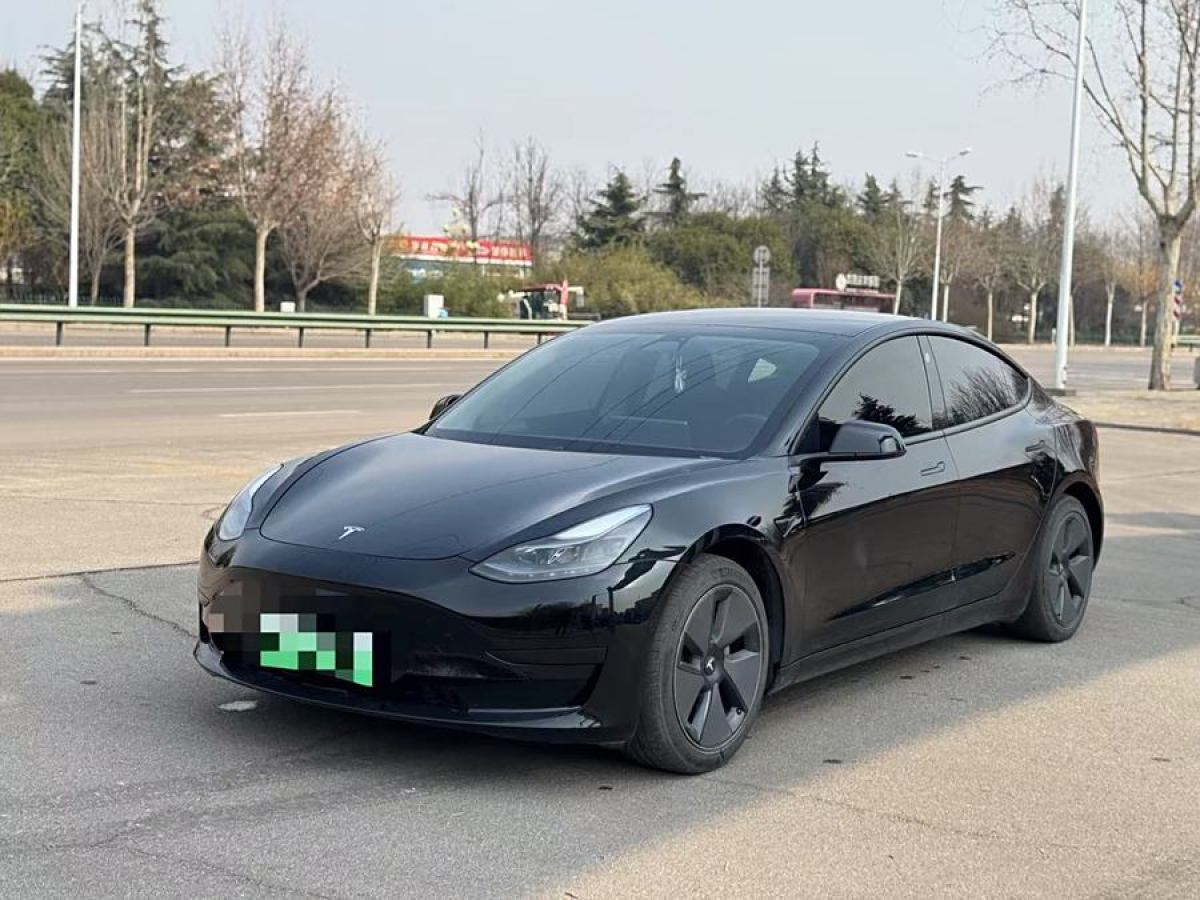 2021年1月特斯拉 Model 3  2021款 改款 標準續(xù)航后驅(qū)升級版