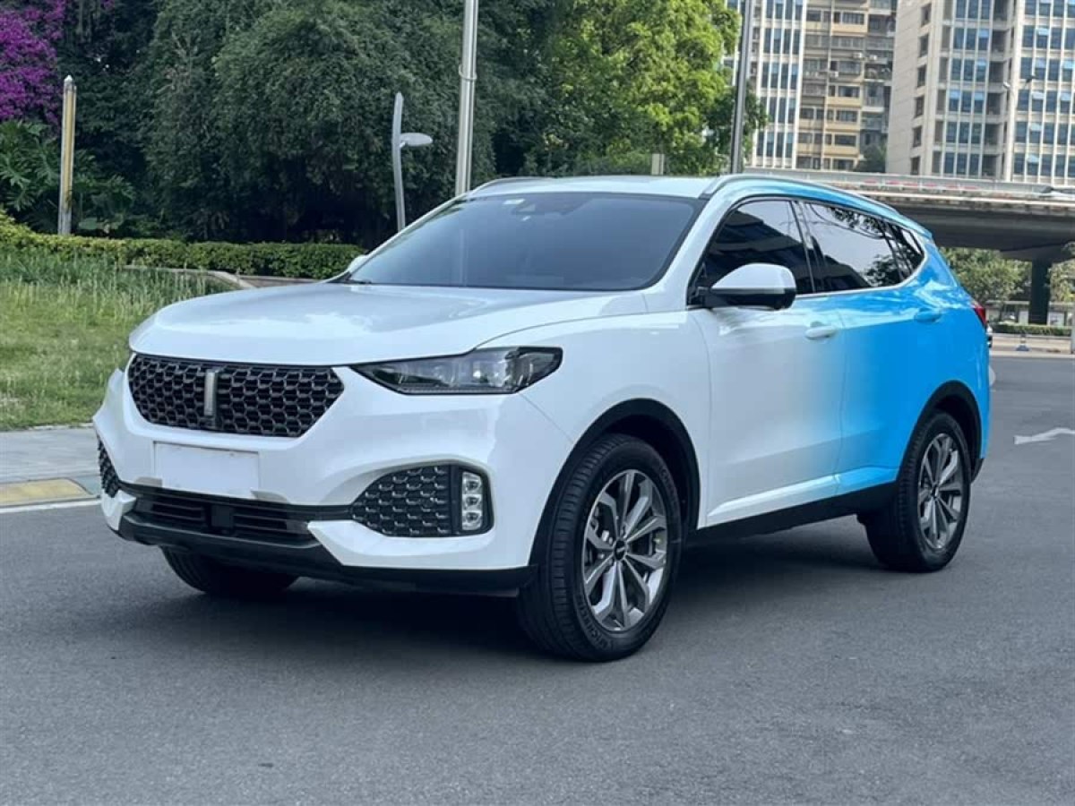 WEY VV6  2020款 2.0T 兩驅(qū)智享+圖片