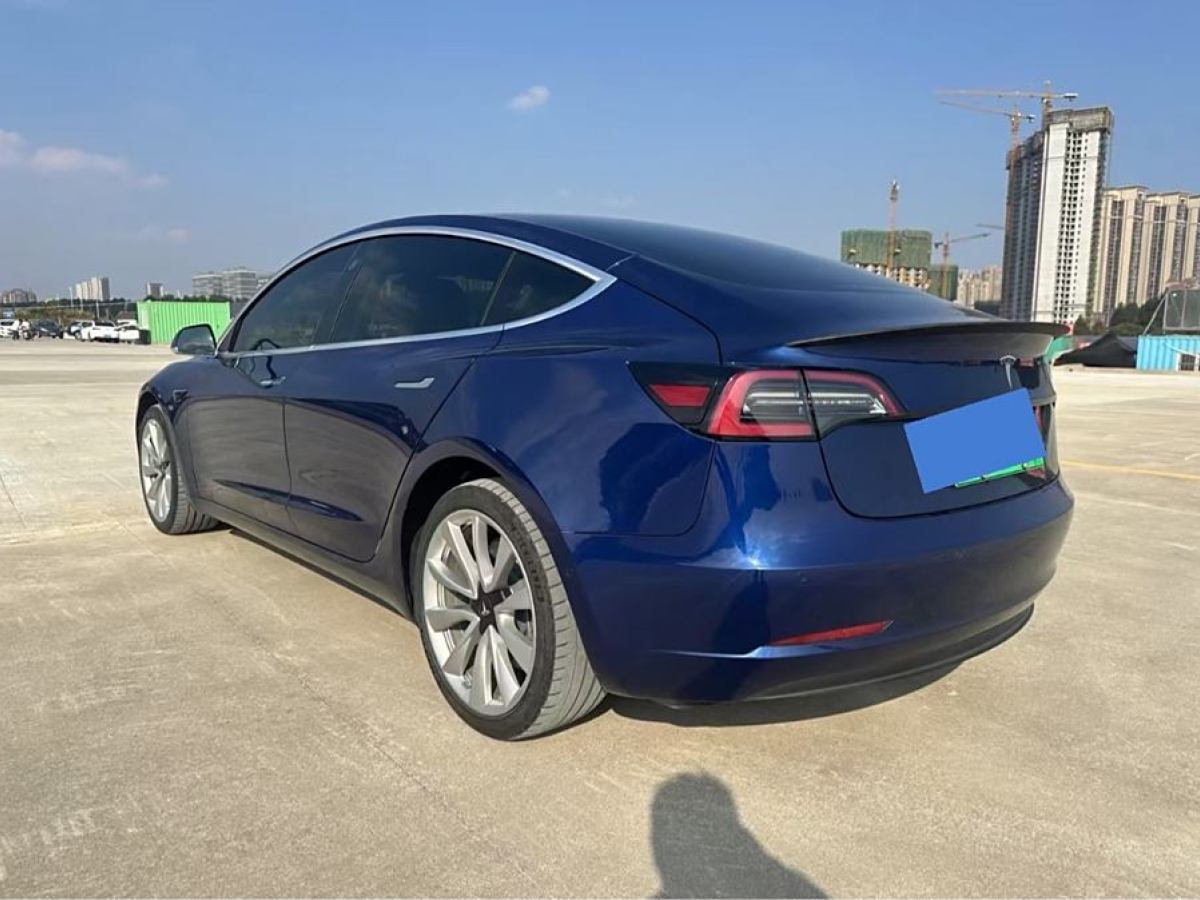 特斯拉 Model 3  2019款 長續(xù)航后驅(qū)版圖片