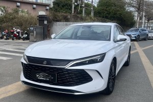 秦L 比亞迪 DM-i 120KM卓越型
