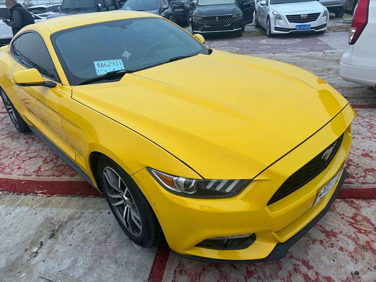 福特 Mustang  2015款 2.3T 性能版圖片