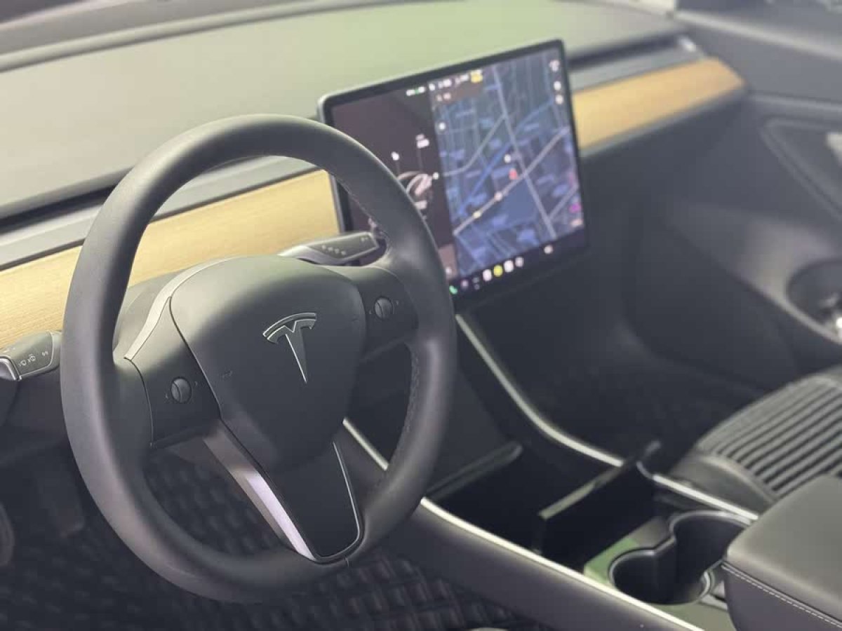 特斯拉 Model 3  2022款 后輪驅(qū)動(dòng)版圖片