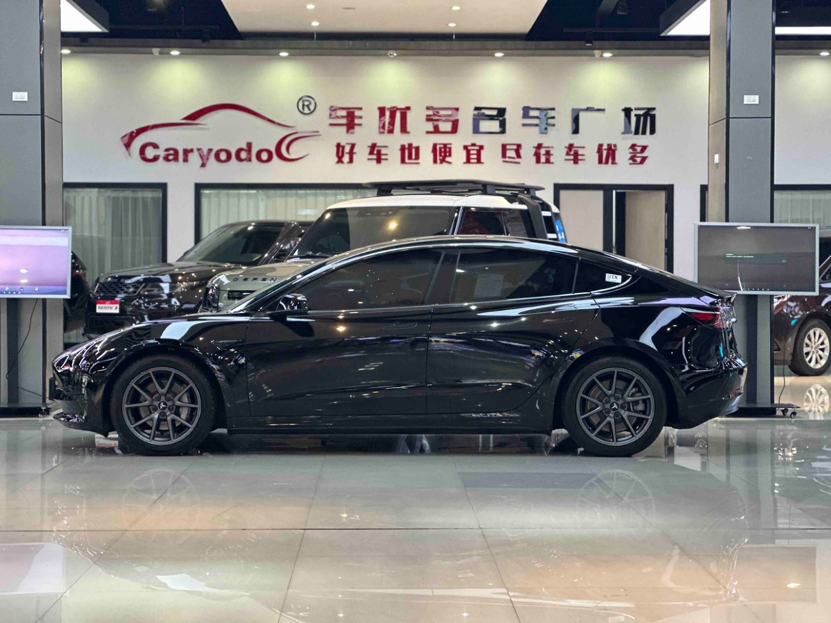 特斯拉 Model Y  2021款 標(biāo)準(zhǔn)續(xù)航后驅(qū)升級(jí)版 3D6圖片