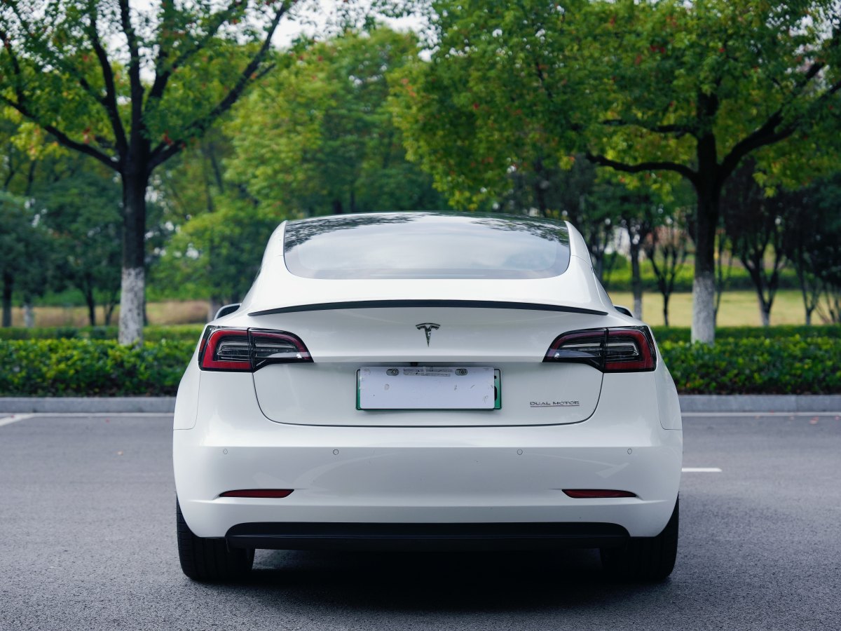 特斯拉 Model 3  2019款 Performance高性能全輪驅(qū)動(dòng)版圖片