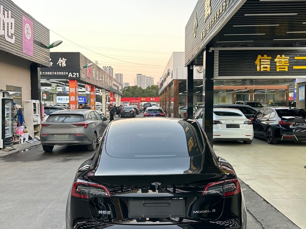 特斯拉 Model 3  2021款 標準續(xù)航后驅(qū)升級版圖片