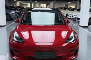 Model S 特斯拉 Performance 高性能版