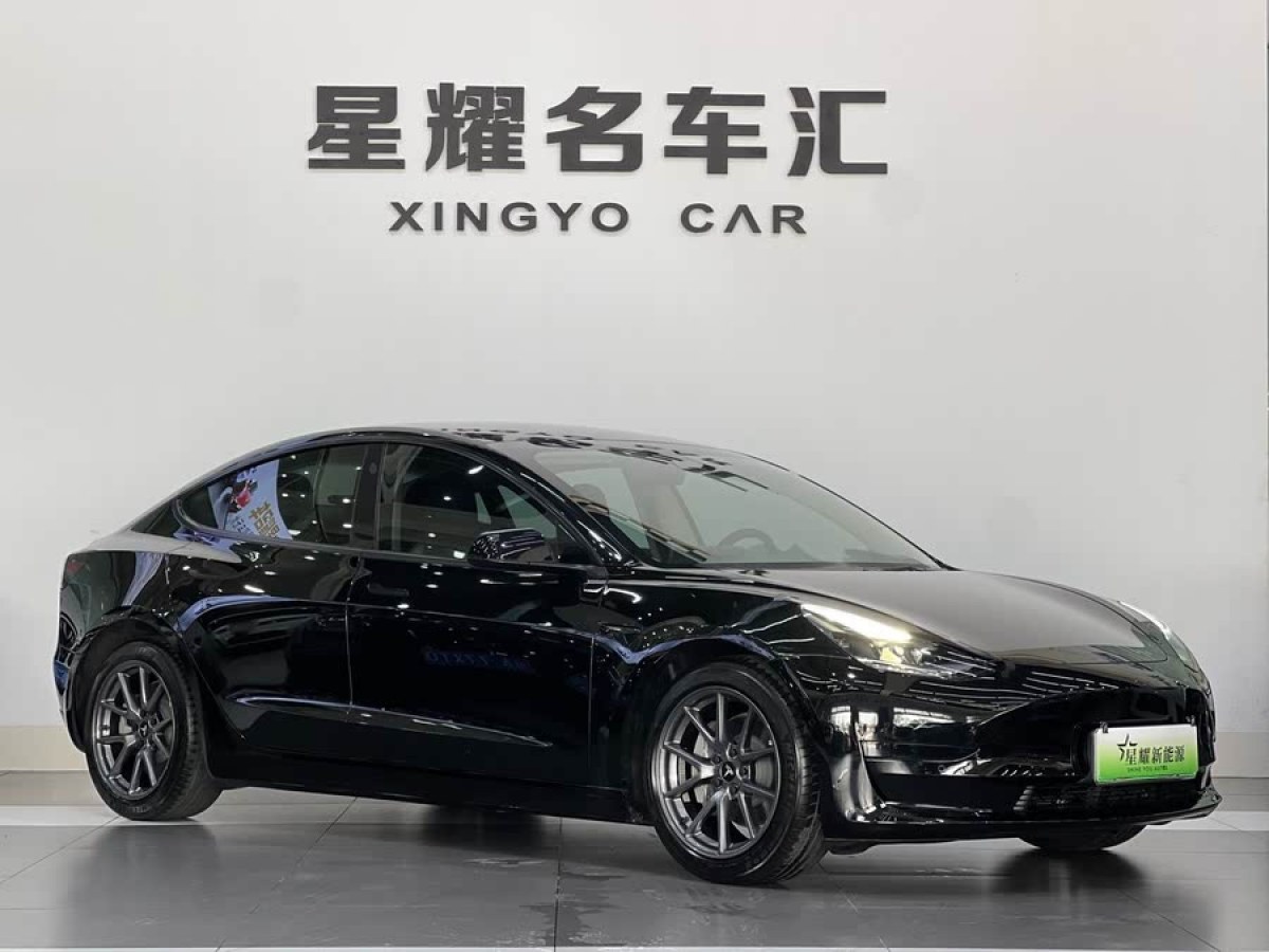 特斯拉 Model 3  2021款 標(biāo)準(zhǔn)續(xù)航后驅(qū)升級(jí)版 3D6圖片