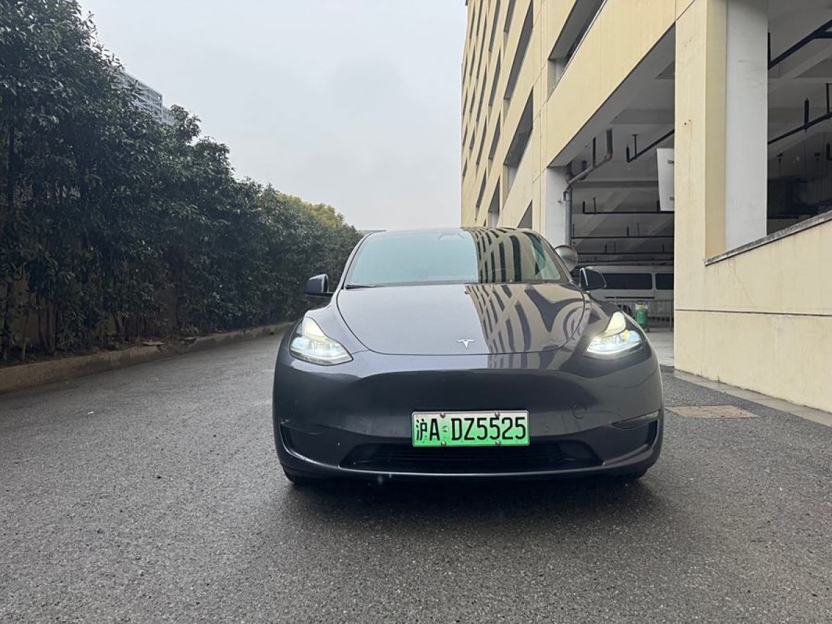 特斯拉 Model Y  2021款 改款 長(zhǎng)續(xù)航全輪驅(qū)動(dòng)版圖片