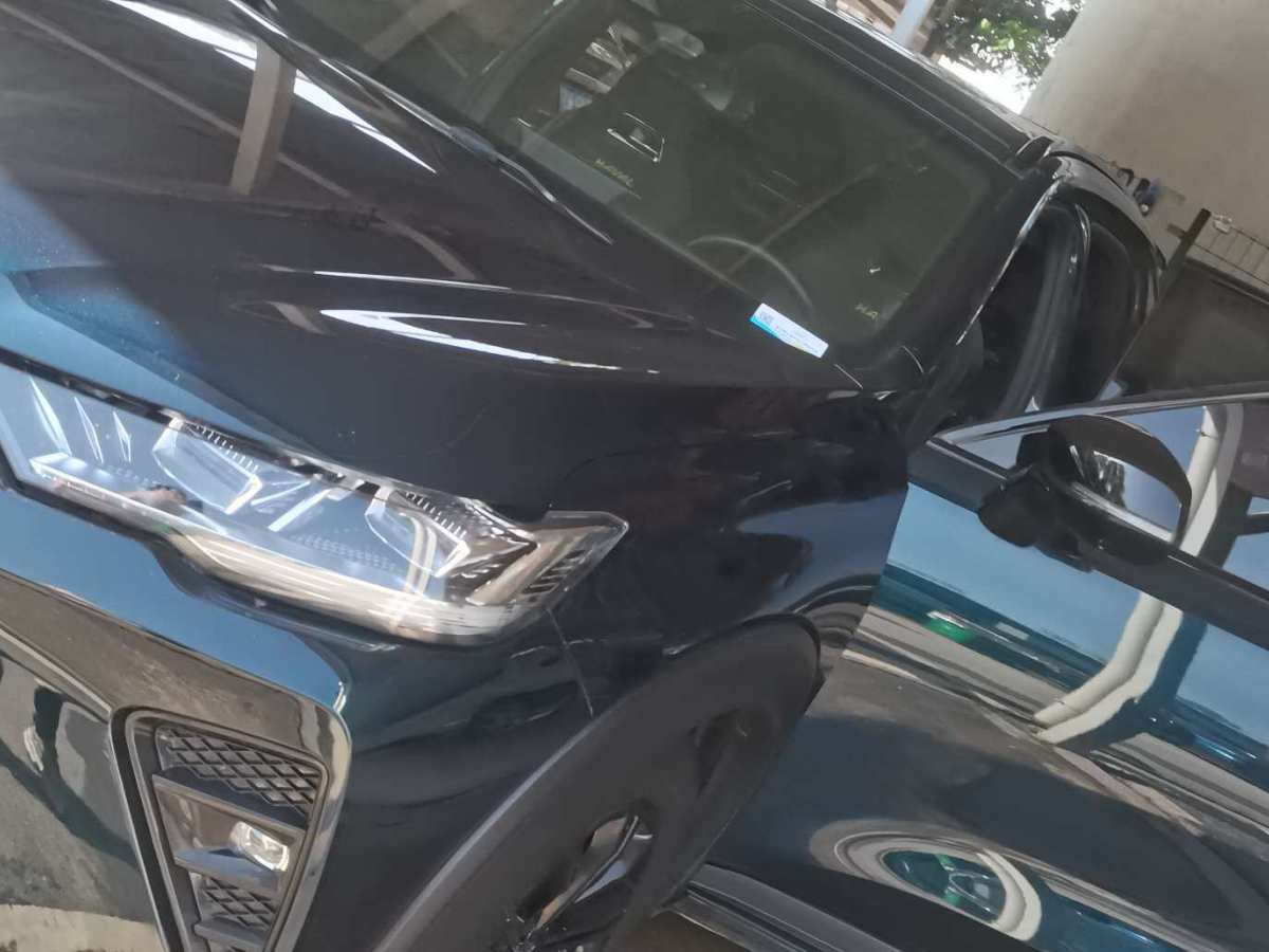 哈弗 H6  2023款 國潮版 1.5T 自動冠軍版圖片