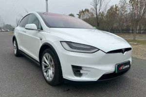 Model X 特斯拉 Model X 100D 長續(xù)航版