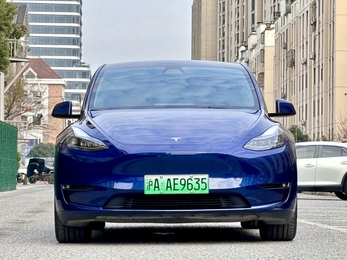 特斯拉 Model 3  2022款 后輪驅(qū)動(dòng)版圖片