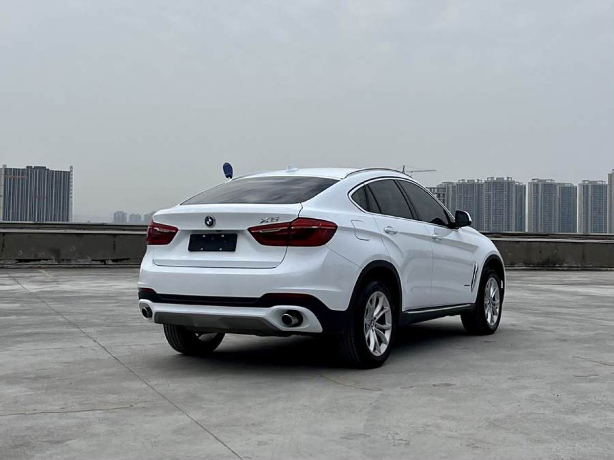 寶馬 寶馬X6  2017款 xDrive35i 領(lǐng)先型圖片