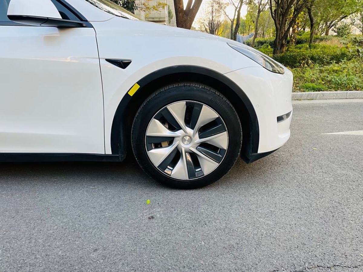 特斯拉 Model 3  2021款 改款 標準續(xù)航后驅升級版圖片