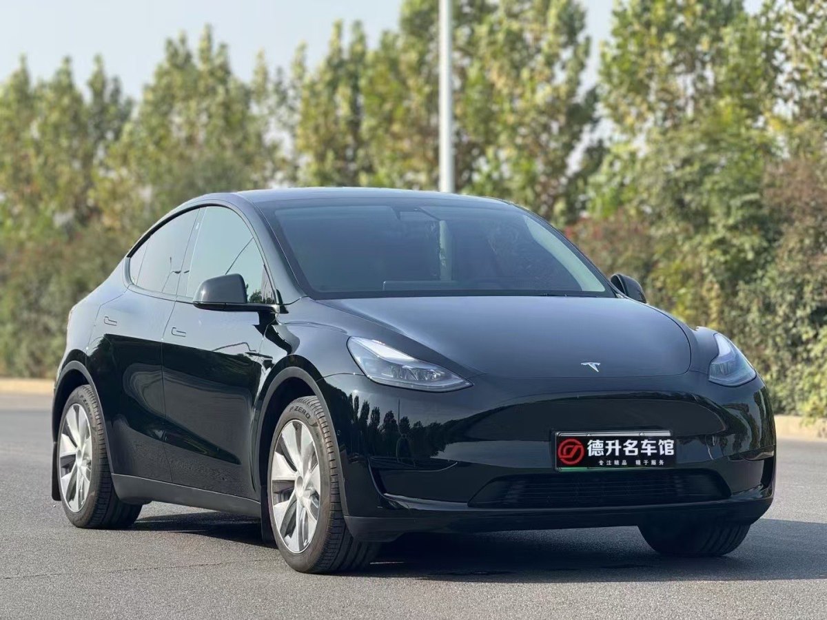 特斯拉 Model Y  2020款 改款 長(zhǎng)續(xù)航后輪驅(qū)動(dòng)版圖片