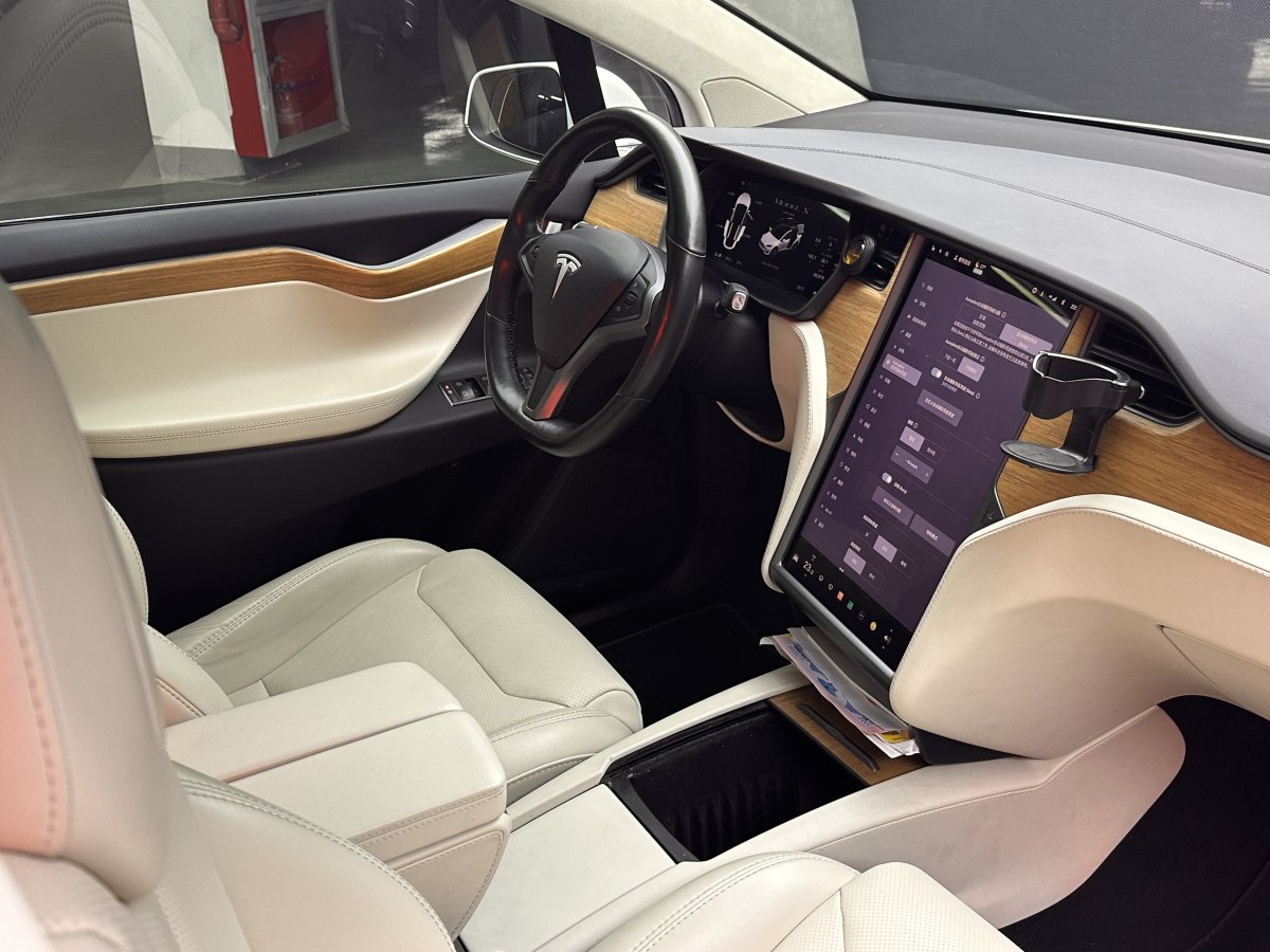 特斯拉 Model X  2019款 長續(xù)航版圖片