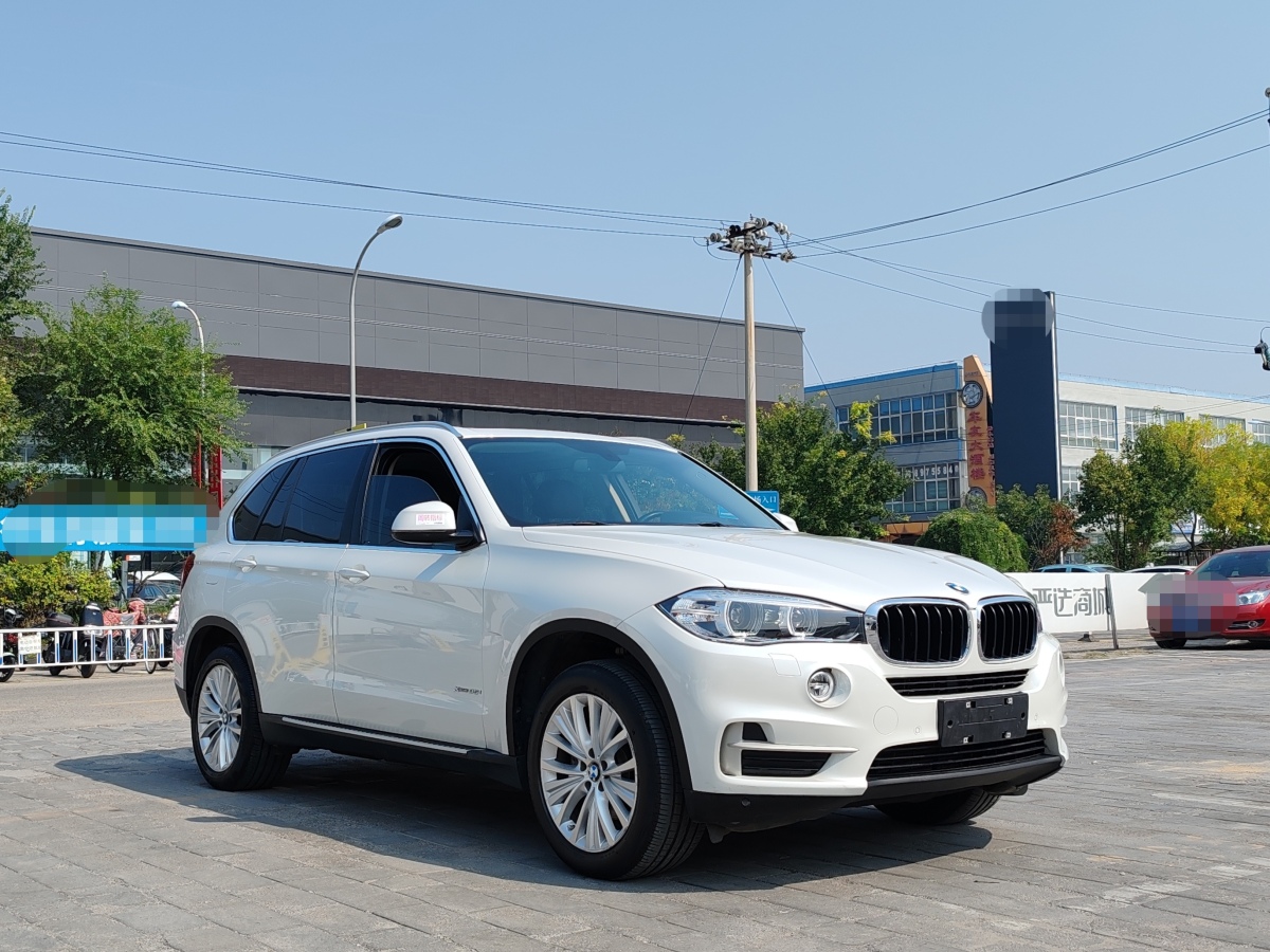 寶馬 寶馬X5  2014款 xDrive35i 領(lǐng)先型圖片