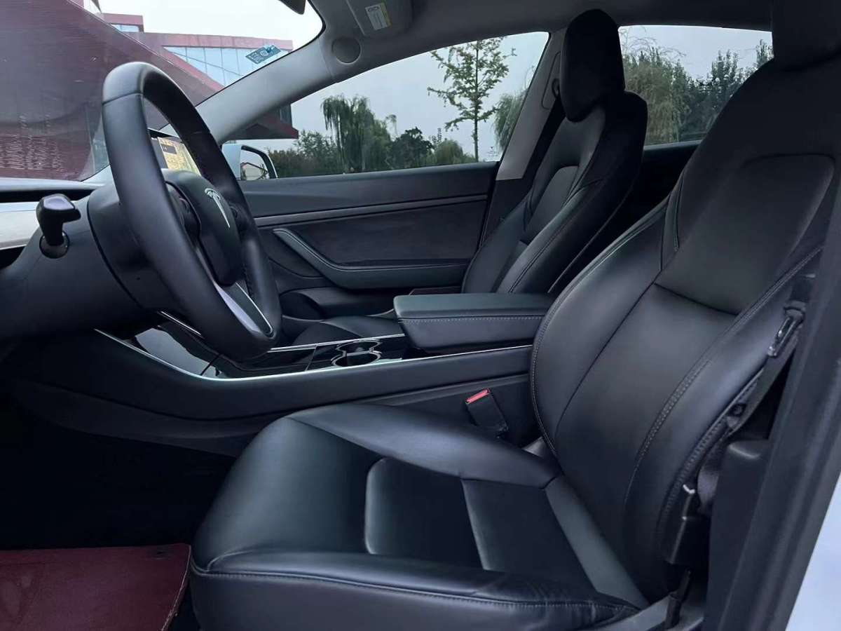 特斯拉 Model Y  2020款 標準續(xù)航后驅(qū)升級版圖片